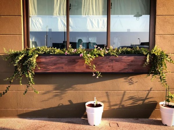 Hanging Plant Stand