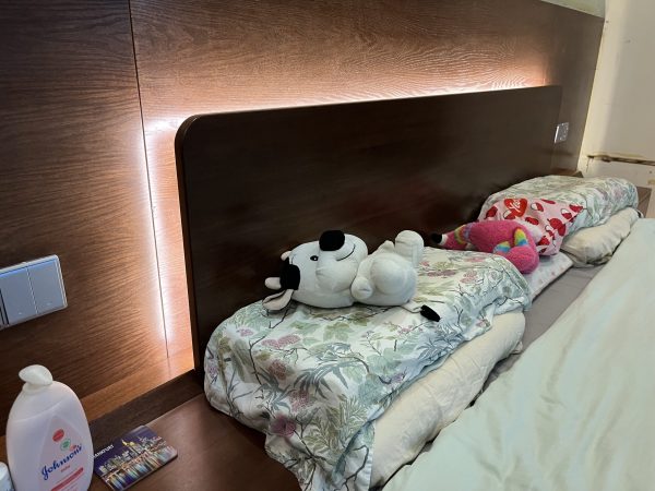 Floating Bed Frame with LED Lights - Image 2