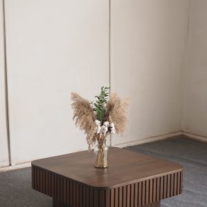 Storage Coffee Table