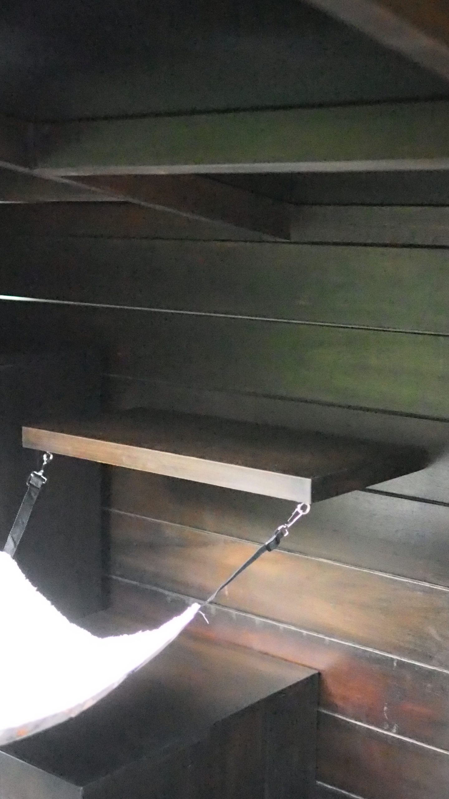 Custom Fox Cage / Outdoor Pet Enclosure - Image 13