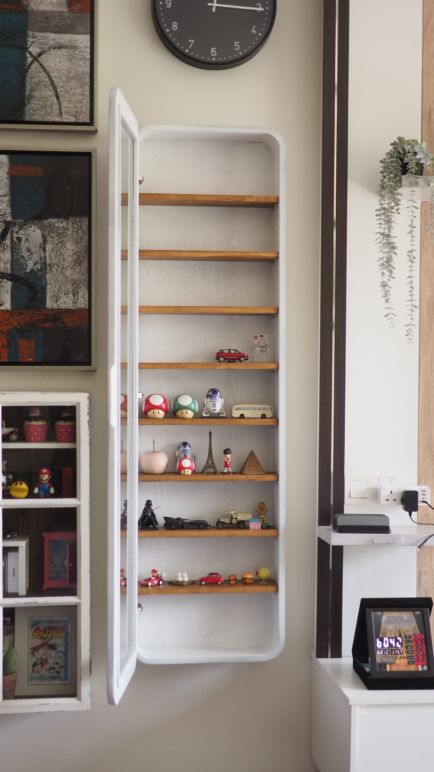 Wall Mounted Storage Cabinet / Display Cabinet - Image 10
