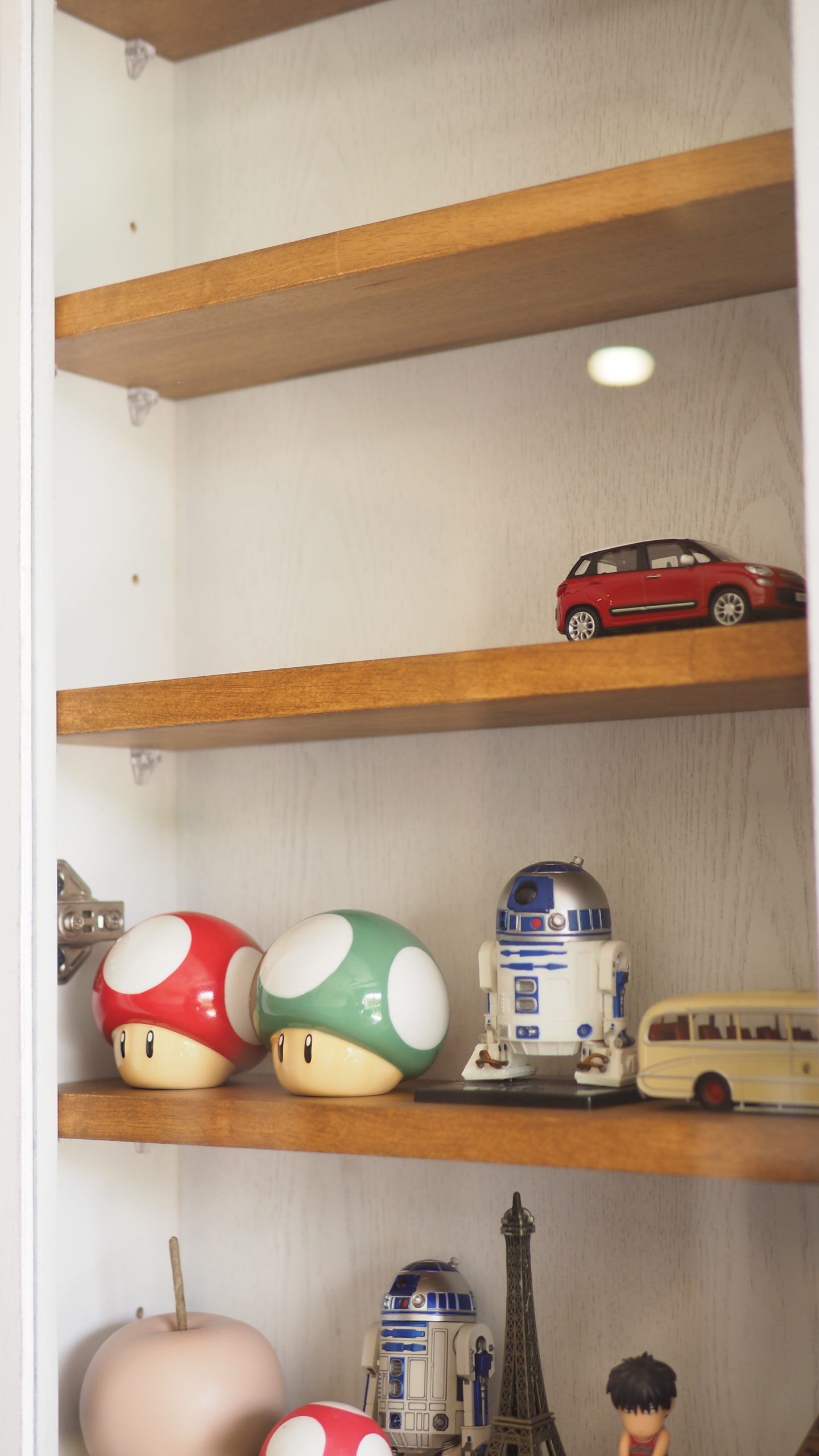 Wall Mounted Storage Cabinet / Display Cabinet - Image 8