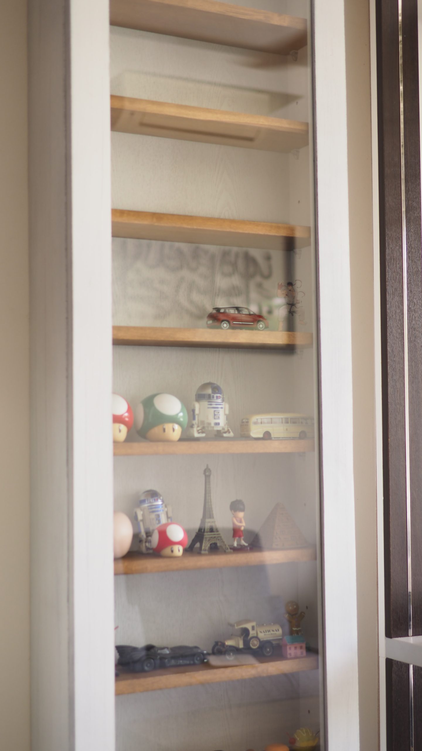 Wall Mounted Storage Cabinet / Display Cabinet - Image 9